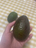 橙小士进口牛油果水果墨西哥秘鲁巨无霸鳄梨应当季宝宝水果辅食 中果两粒装 单粒130-160【g】 实拍图