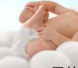 babycare纸尿裤呼吸裤超薄透气婴儿尿不湿 Air升级呼吸系列 【纸尿裤】XL32片(12-17kg) 实拍图