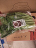 沱沱工社 有机小白菜 200g 农场直供 新鲜蔬菜 晒单实拍图