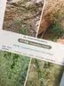 内蒙古维管植物图鉴 双子叶植物卷 晒单实拍图