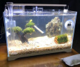森森（SUNSUN）超白桌面小鱼缸生态玻璃缸水草缸客厅造景金鱼缸长方形HWK-420P裸缸（420*230*260mm） 晒单实拍图