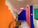 臻蒂 内墙漆彩色乳胶漆墙面漆室内漆防水涂料自刷油漆粉刷翻新 香橙色 1kg 实拍图