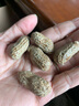 陶云尚宜兴紫砂茶宠仿真花生瓜子趣味茶玩精品手工可养茶桌茶玩茶道配件 紫砂花生5颗 实拍图