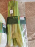北菜园有机芹菜450g新鲜有机蔬菜，轻餐榨汁蔬菜蔬菜北京产地 实拍图