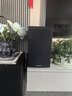 NAD C368 HIFI功放机音响 高保真发烧大功率放大器 C368+Emit 20（颜色备注） 实拍图