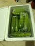 密园小农 密云本地7寸黄瓜 新鲜蔬菜 1.5kg 实拍图