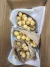 【顺丰】新鲜当季龙宫果 泰国龙贡果爱情果 椰色果热带水果 5斤（商超大果） 实拍图