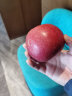 京鲜生甘肃静宁红富士苹果6粒 单果160-200g 水果 包装随机 晒单实拍图