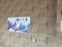 欣艾迪 石墨烯碳晶墙暖壁画家用碳纤维电暖器电热板节能省电取暖器壁挂式电暖气片 800w-07 实拍图