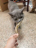 雅礼颂宠物猫咪零食多春鱼淡水满籽小鱼虾冻干幼猫磨牙营养增肥 【满籽款约15条】多春鱼50g 实拍图
