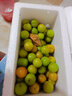 枫小七茂名钱排三华李信宜新鲜三月李早李应季酸脆孕妇水果李子生鲜现摘 三月李3斤大果精选（35-50个/斤）净重1400g 实拍图