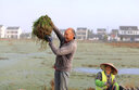 佳能（Canon） 50 1.2 全画幅大光圈单反相机标准定焦人像镜头 EF卡口适用 6d2 5d4 1dx3 EF 50mm f/1.2L USM 官方 标配 实拍图