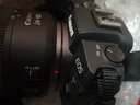 佳能/Canon EOS R RP R5 R6  R7 R10全画幅专业微单相机4K 二手微单相机 RP+RF24-105 STM【套机】 99新 实拍图