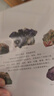 矿物与岩石完全图鉴   直观、立体全方位鉴别与分析，轻松认识矿物与岩石 实拍图