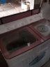 澳柯玛（AUCMA）家用半自动双缸大容量小型双桶波轮洗衣机双筒不锈钢内胆10公斤kg甩干机 玫瑰金塑料内桶 实拍图