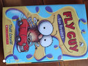 FLY GUY FUN READERS (WITH CD)[苍蝇小子 有趣的读者（带CD)] 进口故事书  小学教辅 实拍图