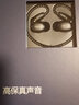飞利浦（PHILIPS）有线耳机入耳式HiFi耳机动圈加动铁发烧音乐耳机高保真耳机3.5mm音频接口S301黑 实拍图