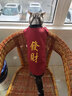 新年喜庆猫咪衣服蓝猫加菲小猫猫秋冬装加厚保暖虎年过年狗狗衣服宠物保暖泰迪幼猫泰迪博美猫咪衣服 发财秋冬加绒 L(建议8-10斤) 实拍图