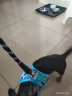 宠物圈（PETCIRCLE）冬季狗狗衣服泰迪衣服秋冬装小狗宠物贵宾四脚衣服萌宠服装狗衣服 蓝色款 XS胸34背20cm 体重1-3斤 实拍图