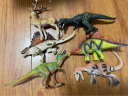贝可麦拉（beikemaila）【精选】儿童仿真恐龙动物玩具模型早教认知过家家生日礼物男女孩 剑龙 实拍图