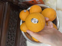 舅甜果蔬进口新鲜3107新奇士橙子（现货秒发）应当季水果 进口甜橙sunkist 新鲜进口一级果【精品蓝标】 8个（单果160-210克左右） 实拍图