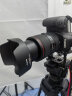 佳能（CANON） 5d4 5D Mark IV 专业全画幅单反相机单机/套机 4K视频单反相机 EF24-105mm f/4L IS II USM 实拍图