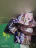 恒源祥2026新款夹克男款加绒潮牌男女同款秋冬户外连帽登山服外套 宝兰 M 实拍图