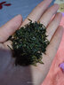 煜树小叶苦丁茶毛冬青茶嫩芽云南毛冬青毛冬青新货 小叶苦丁100g 实拍图