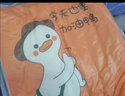 百歌妮单人双人床上用品被子被芯+四件套+枕芯被褥全套装褥子学生宿舍 欢乐小狗 单人宿舍被芯1.5*2m 5斤 七件套 实拍图