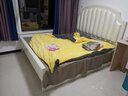 静宜港实木床1.8米主卧双人床2*2.2米大床白色现代简约欧式床美式轻奢床 单床【默认发象牙白】 1800mm*2000mm 气压结构 实拍图