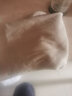 欧替西【两件装】纯棉纯色短袖T恤男同款全棉圆领打底衫潮半袖重磅厚实 卡其色+灰色 L【建议穿100-120斤】 实拍图
