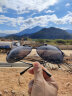 帕森（PARZIN ）偏光太阳镜型男经典蛤蟆镜安全驾驶墨镜8131A黑框黑灰片 实拍图