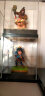 皇室战争 公主 珍藏版手办游戏周边商城模型玩具公仔摆件 晒单实拍图
