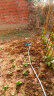 汉轩园林自动洒水器旋转浇水喷头浇花菜地草坪绿化降温喷淋灌溉神器 独立版+4分接口套装+10米4分管 实拍图