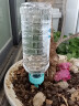南水灌溉滴水器渗水家用半自动浇花器定时可调节流速滴灌懒人种菜浇水神器 滴水器4个装（3.2/个） 实拍图