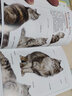 猫图鉴  170余种纯种猫挑选与饲养指南 轻松养出漂亮“喵星人” 实拍图