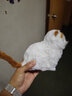 亦趣仿真猫玩偶会叫小猫咪毛绒玩具摆件可爱猫咪公仔儿童生日新年礼物 黄头会叫猫咪+领结 实拍图
