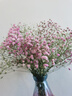 爱满（AIMAN）满天星天然干花花束ins网红生日 新房装饰摆件风干真插花家居摆设 白+粉满天星 【带M款花瓶】 实拍图