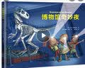 博物馆奇妙夜 精装彩图版 趣味解谜博物小百科绘本探索历史自然博物馆 3-4-5-6岁逻辑思维能力儿童课外阅读博物百科图画故事书  实拍图