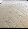 海马亦言（HAIMAYIYAN）床垫 席梦思天然乳胶椰棕独立弹簧五星级十大酒店双面加厚品牌 舒适C款：乳胶+椰棕+精钢弹簧 1.2x2.0米 实拍图