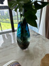 傲石 水养透明玻璃花瓶客厅插花轻奢高端大气现代简约餐桌装饰摆件 蓝黑丝-高款(高32cm) 实拍图