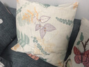 钟爱一生 抱枕靠垫含芯腰靠办公午睡枕沙发靠枕家用提花卡通风格 花枝蝴蝶 45cm*45cm 含枕芯 实拍图