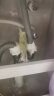 海立88203洗衣机地漏三通排下水管接头二合一y厨房阳台手盆防臭溢密封 晒单实拍图