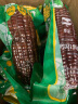 发鲜号东北甜糯黑玉米200g*8支 真空包装健康粗粮新鲜玉米苞米棒 黑玉米8支共 1600g 以上 晒单实拍图