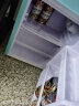 香雪海  小冰箱家用迷你小型冰箱 冷藏保鲜小冰箱 宿舍租房电冰箱 58S128E蓝色【一级节能 冷藏冷冻】 实拍图
