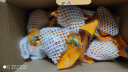 瀍丝河南鹤壁特产缠丝蛋咸鸭蛋淇河三珍24枚散养麻鸭蛋 橙色 实拍图