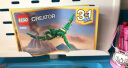 乐高（LEGO）积木拼装31058 凶猛霸王龙7-12岁男孩女孩儿童玩具六一儿童节礼物 实拍图