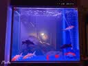 森森（SUNSUN）鱼缸水族箱含鱼缸客厅大型玻璃缸办公室龙鱼生态缸自循环水族箱 时尚款底滤0.8m长 36宽 靠墙(黑白灰) 实拍图