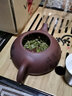 倒把西施 紫砂壶纯手工宜兴紫砂泡茶壶茶具套装 紫泥东坡石瓢 刻绘石瓢 实拍图