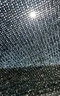 得滕 黑色加密加厚遮阳网防晒网平织网阳台庭院屋顶隔热园林工地防尘 包边打孔10米*15米 加密带加强筋 实拍图